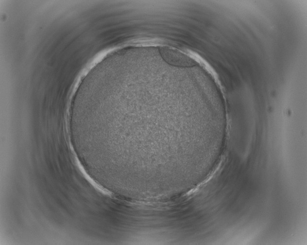 X0000087641429200705241228