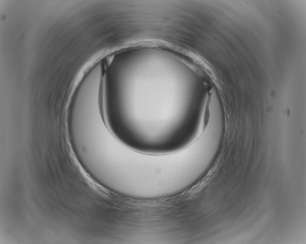 X0000087641430200705241229