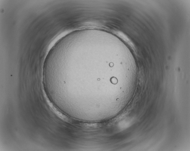 X0000087641431200705241229