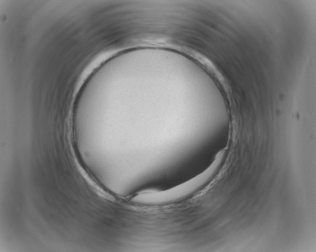 X0000087641432200705241229