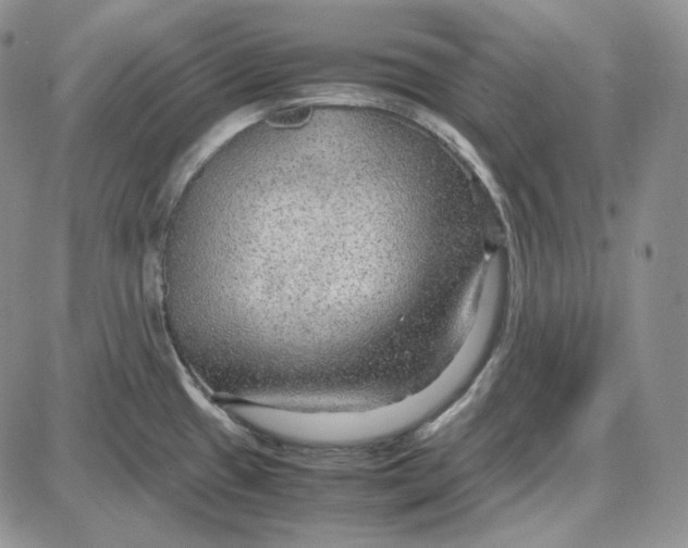 X0000087641433200705241229