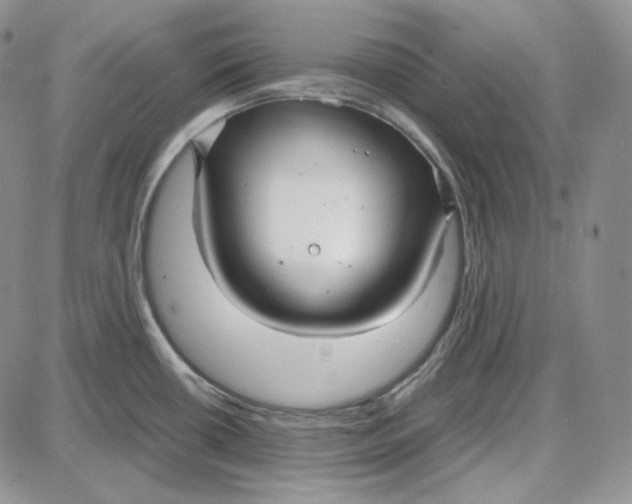 X0000087641434200705241229