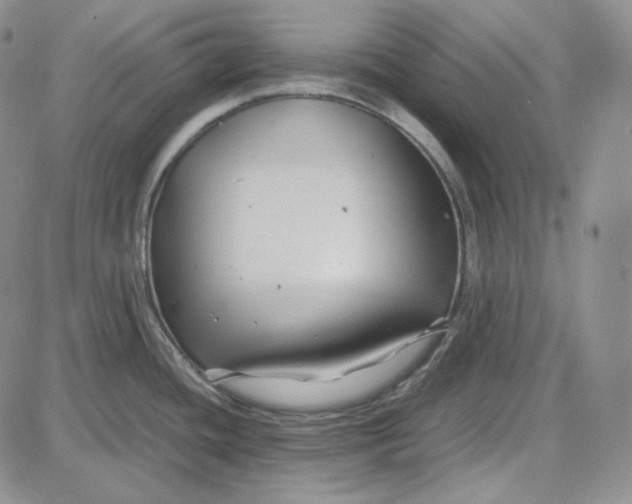 X0000087641436200705241229