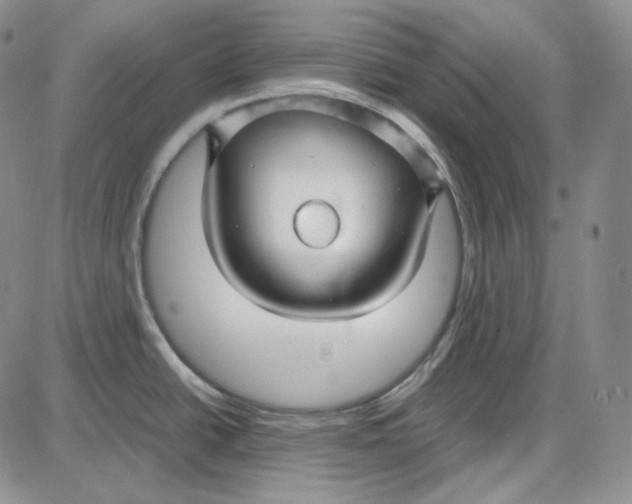 X0000087641438200705241229