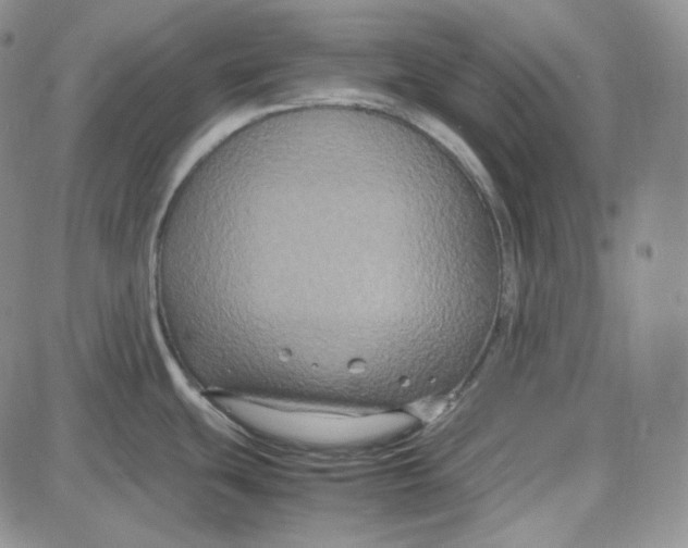 X0000087641439200705241229