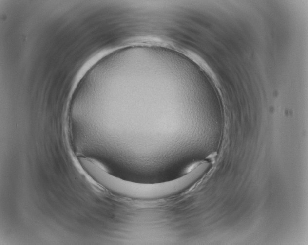 X0000087641440200705241229