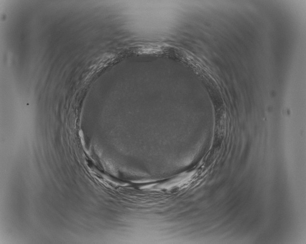 X0000087641441200705241228