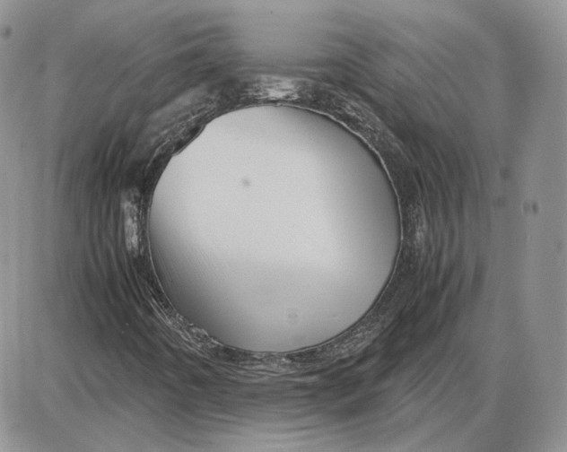 X0000087641442200705241228