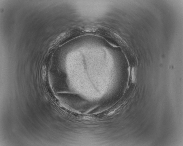 X0000087641443200705241228