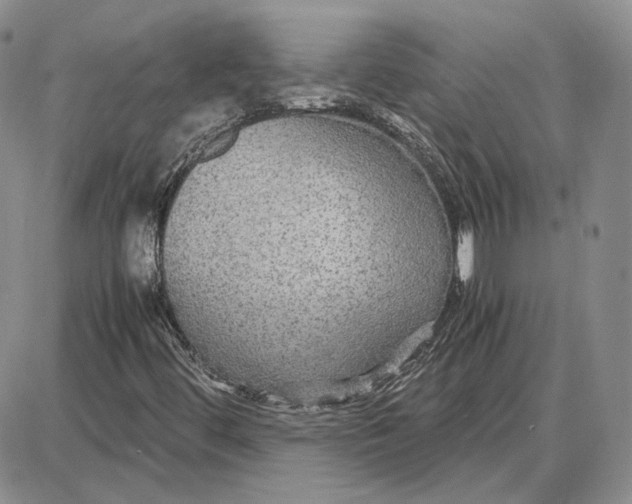 X0000087641444200705241228