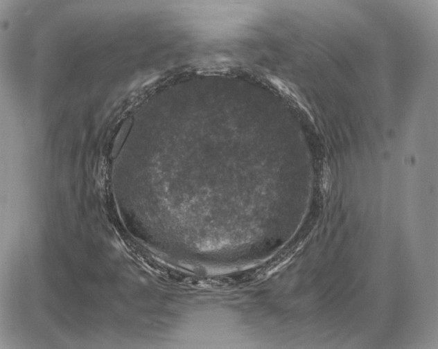 X0000087641445200705241228