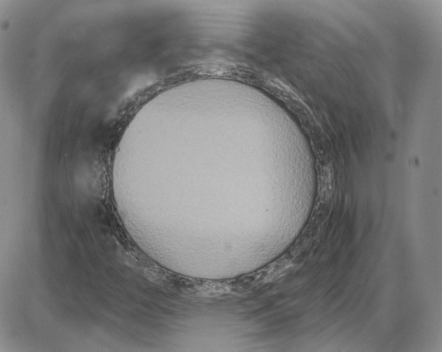 X0000087641446200705241228