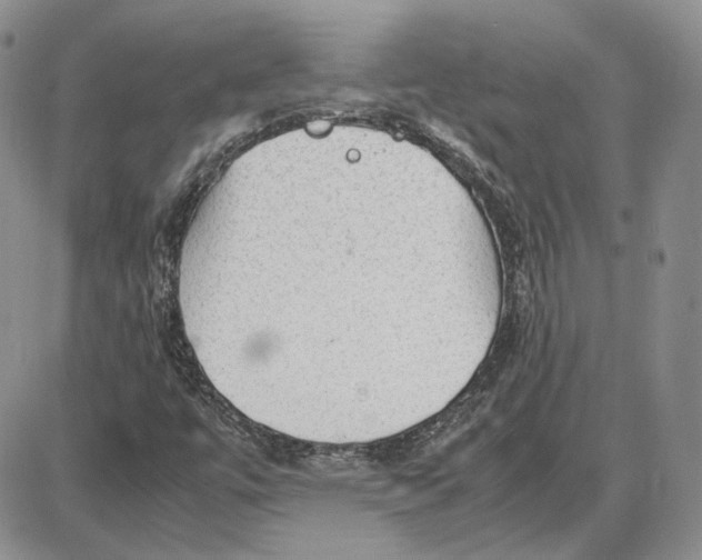 X0000087641447200705241228