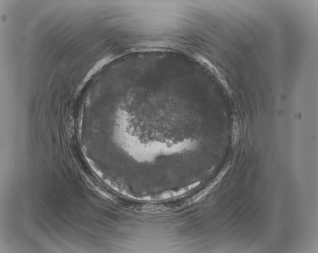 X0000087641449200705241228