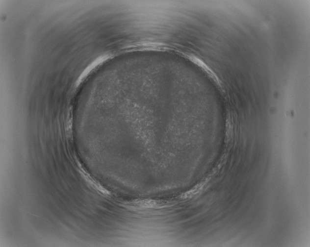 X0000087641450200705241228