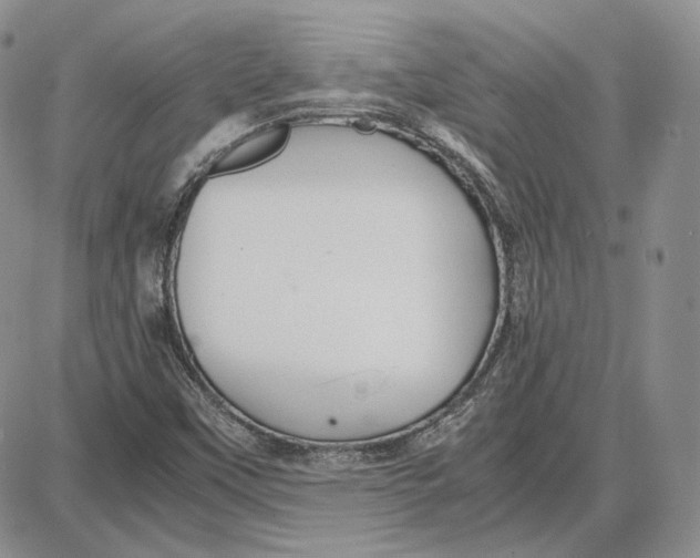 X0000087641451200705241228