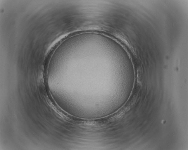 X0000087641452200705241228