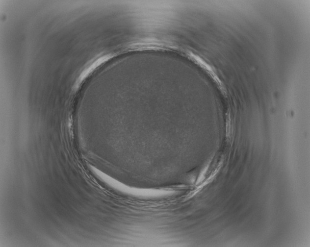 X0000087641453200705241228