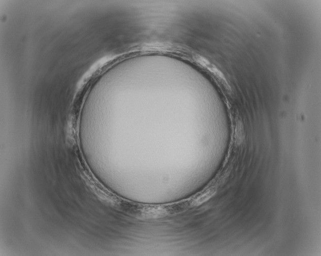 X0000087641454200705241228