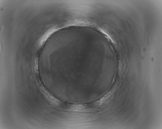 X0000087641455200705241228