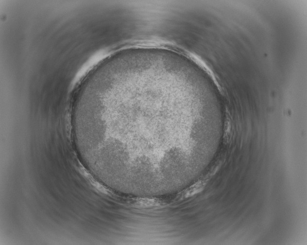 X0000087641456200705241228