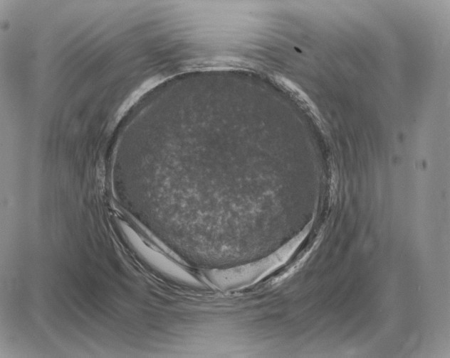 X0000087641457200705241228