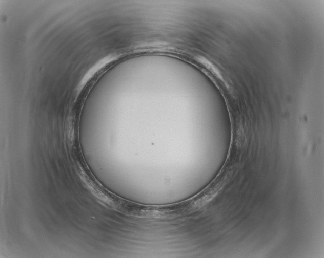 X0000087641458200705241228