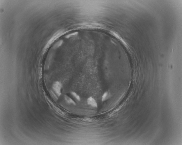 X0000087641459200705241228