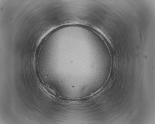 X0000087641460200705241228