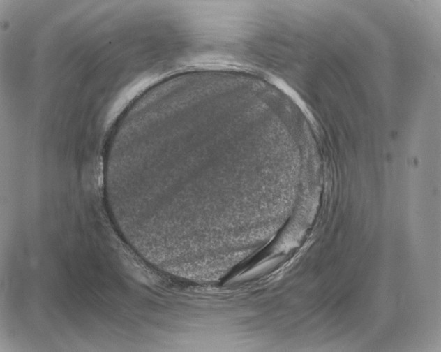 X0000087641461200705241228