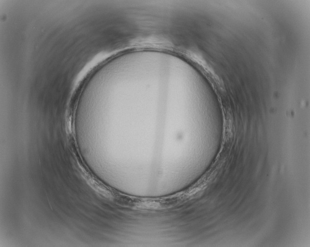 X0000087641462200705241228