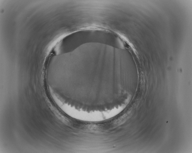 X0000087641463200705241228