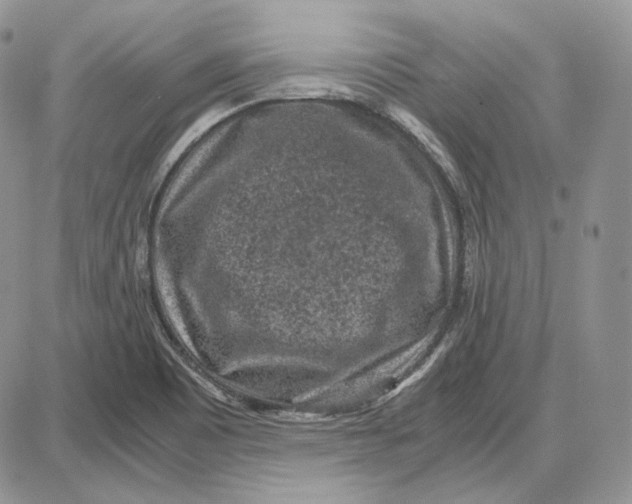 X0000087641465200705241228