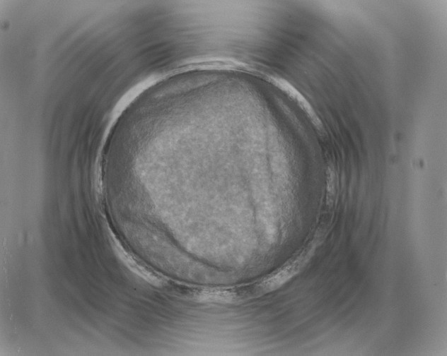 X0000087641466200705241227