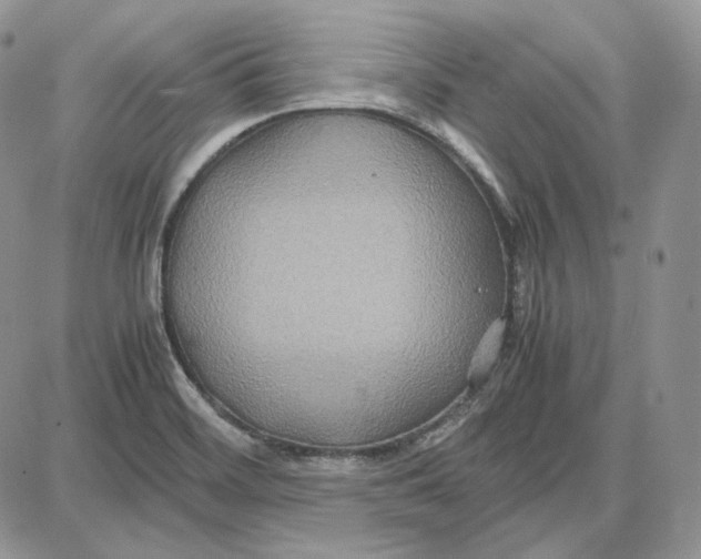 X0000087641468200705241227