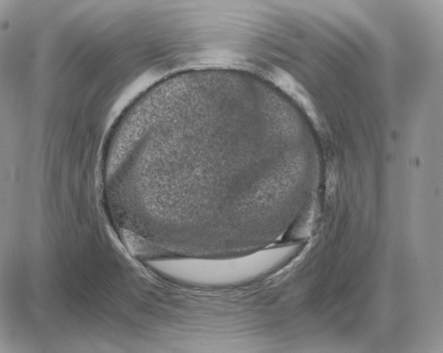 X0000087641469200705241227