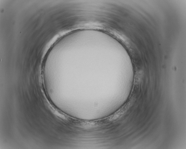 X0000087641470200705241227