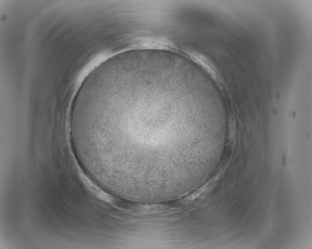 X0000087641471200705241227