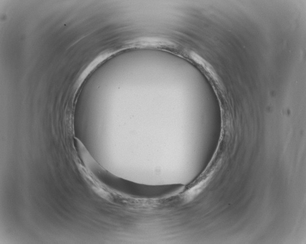 X0000087641473200705241227