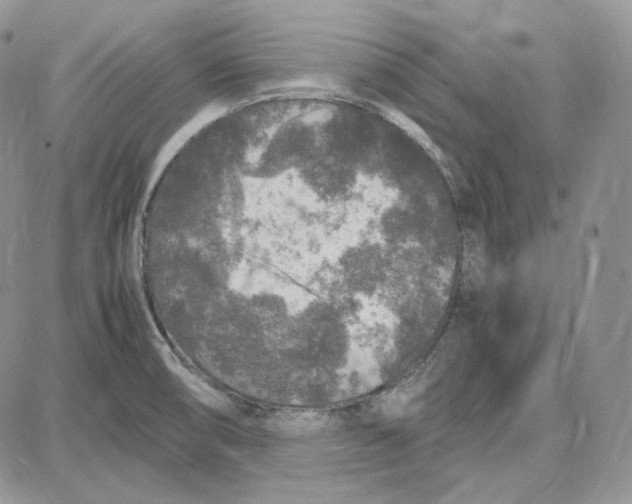 X0000087641474200705241227