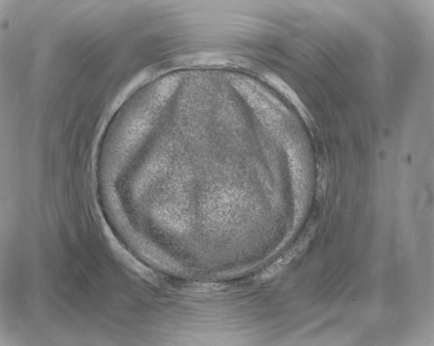 X0000087641475200705241227