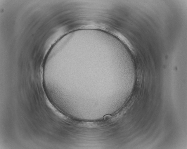 X0000087641476200705241227