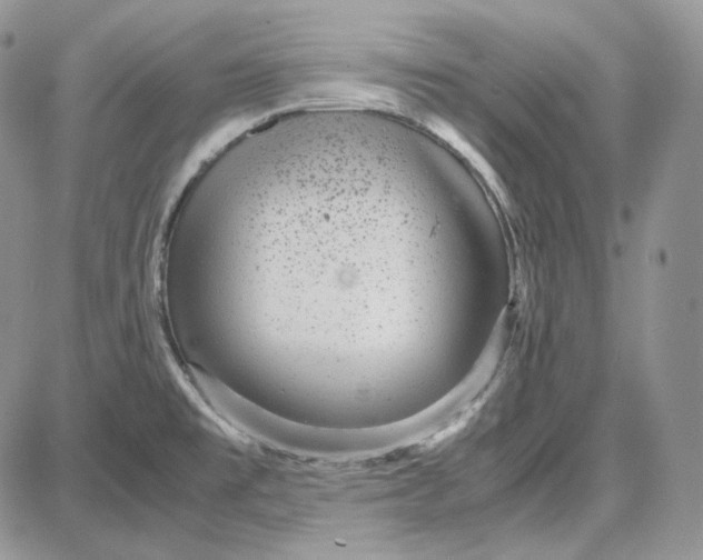 X0000087641477200705241227