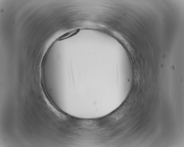 X0000087641479200705241227