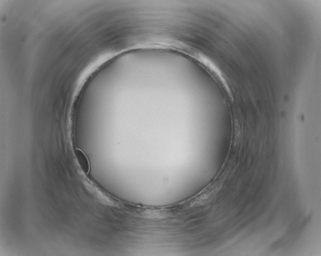 X0000087641480200705241227