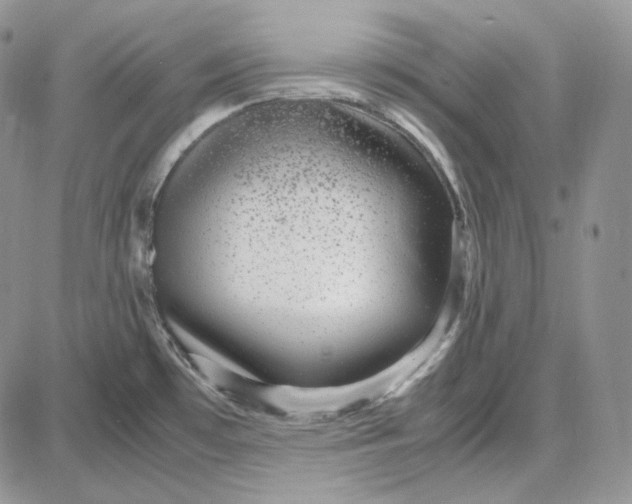 X0000087641481200705241227