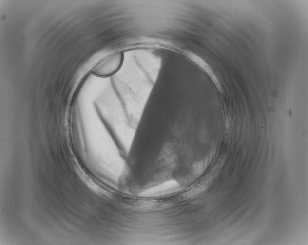 X0000087641482200705241227