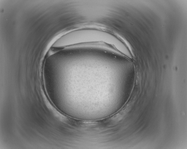 X0000087641483200705241227