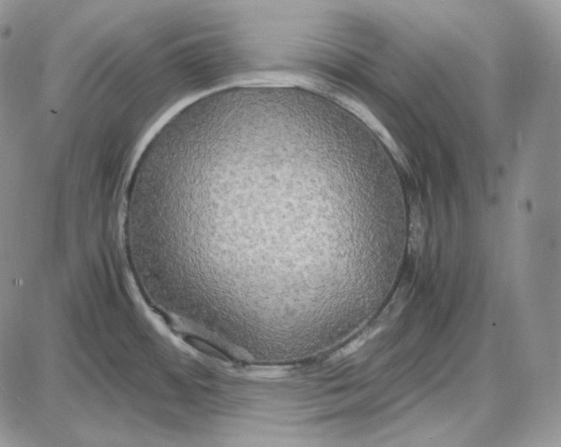 X0000087641484200705241227