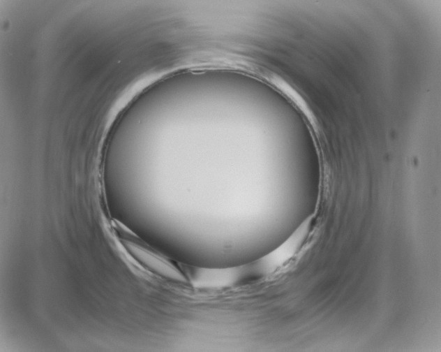 X0000087641485200705241227